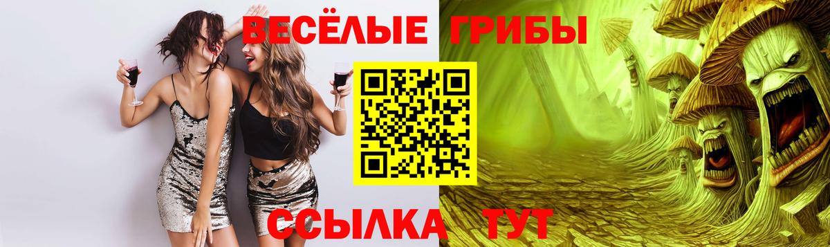 Вологда  Псилоцибиновые грибы MAGIC MUSHROOMS  Вход с VPN  Галлюциногенные грибы прущие грибы 